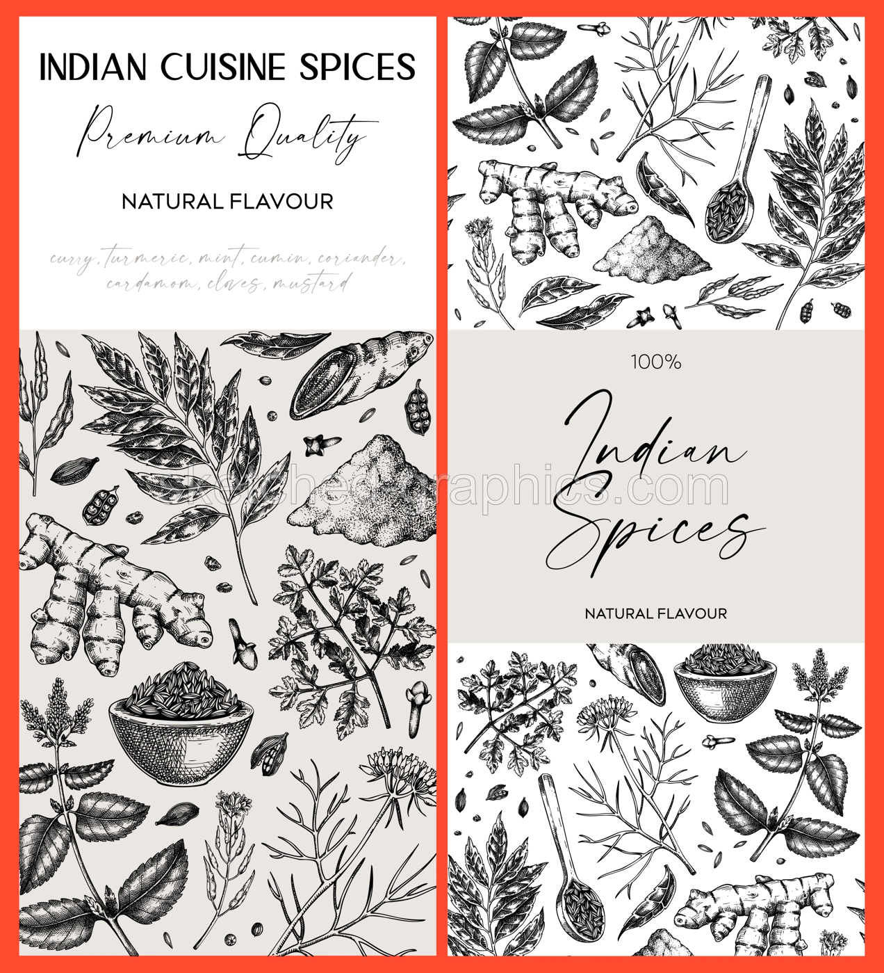 Indian spice label designs. Curry, cumin, mustard, turmeric, coriander, cloves sketches. Herbs hand-drawn vectot illustration. Vintage banner templates. NOT AI generated Illustration